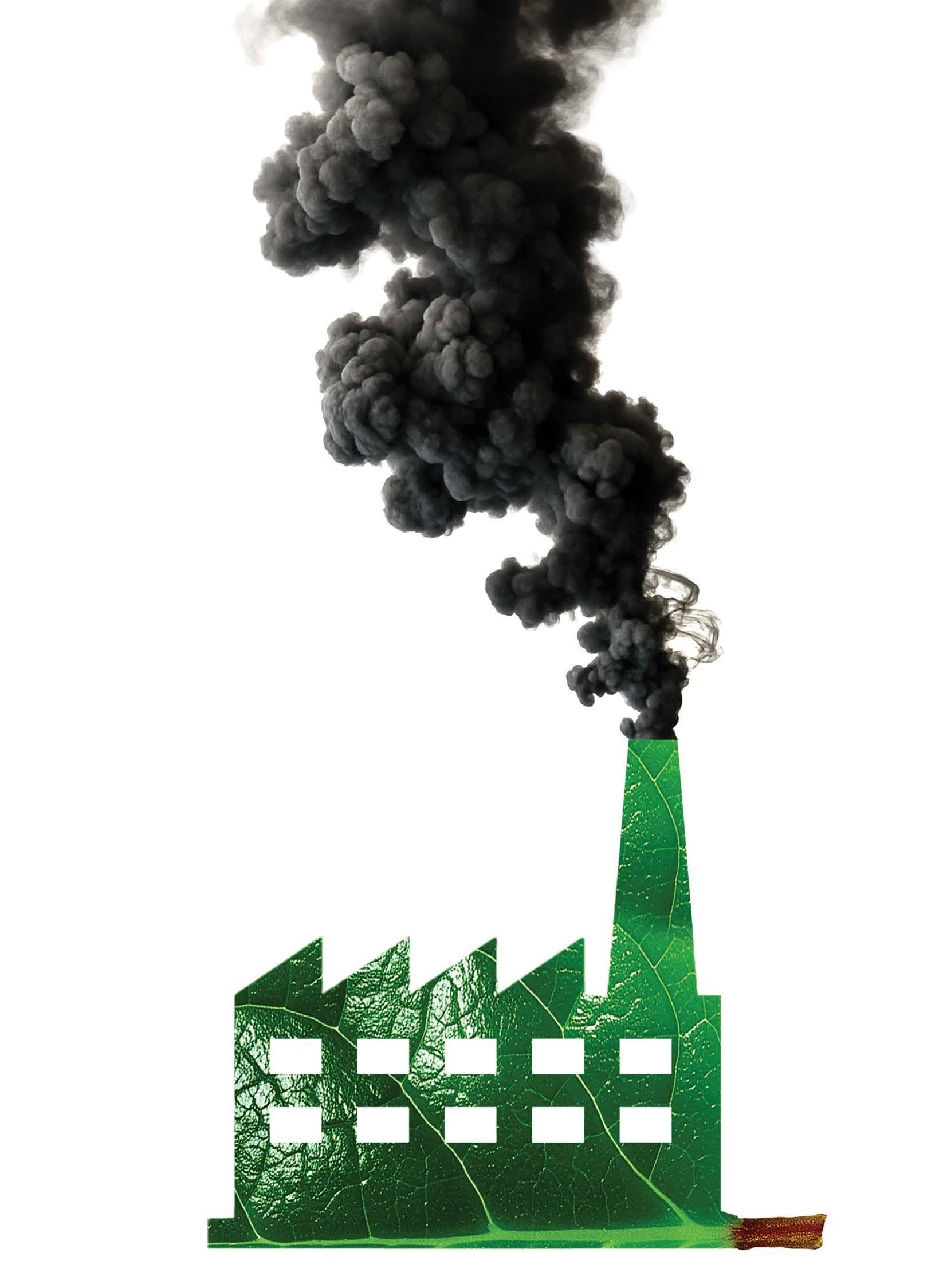 A GENUINE GREEN FUTURE